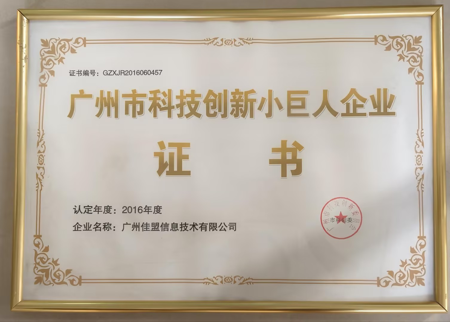 2016年广州市科技创新小巨人企业