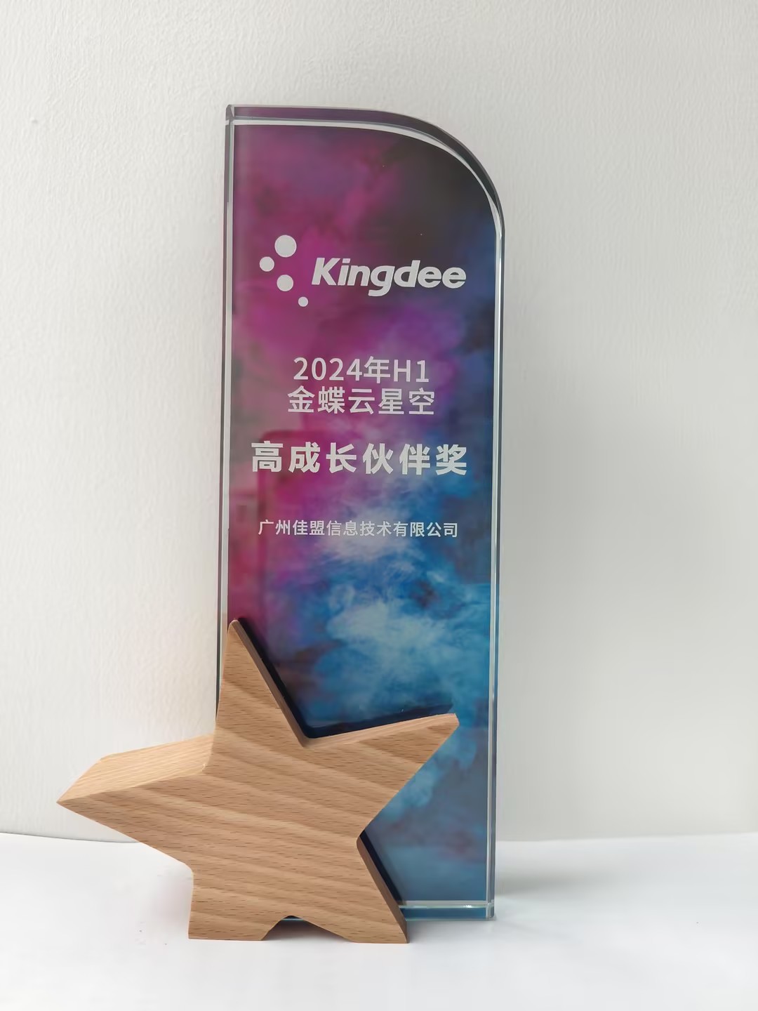 2024年金蝶云星空高成长伙伴奖